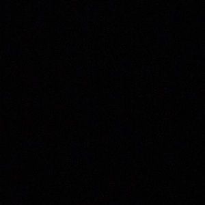 Meet your Posher, Moshe